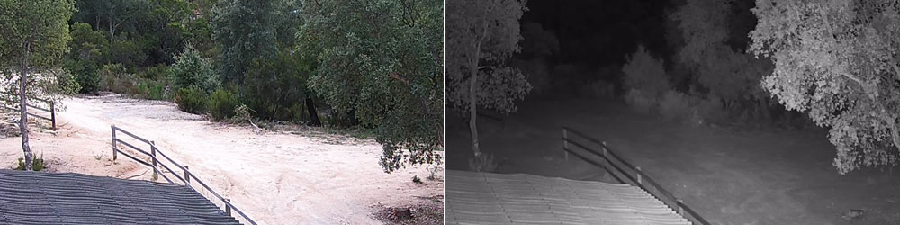 vidéosurveillance caméra infrarouge avigilon caméra de nuit